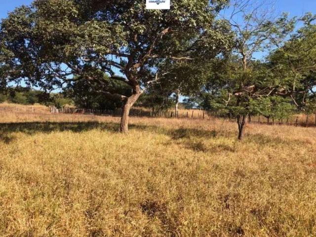 Sítio e chácara venda em Sítio de Recreio dos Bandeirantes, Goiânia