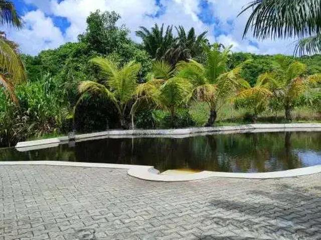 Sítio e chácara venda em Região Geográfica Imediata de Canguaretama, Goianinha