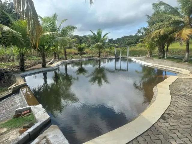 Sítio e chácara venda em Região Geográfica Imediata de Canguaretama, Goianinha