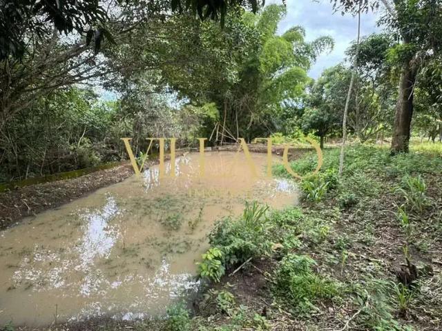 Sítio e chácara venda em Região Geográfica Imediata de Goiânia, Goiânia