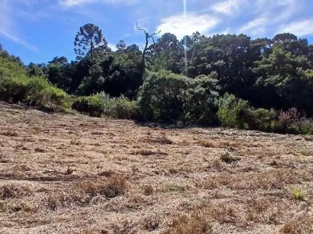 Sítio e chácara venda em Região Geográfica Imediata de Divinópolis, Itaúna