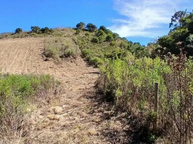 Sítio e chácara venda em Região Geográfica Imediata de Divinópolis, Itaúna