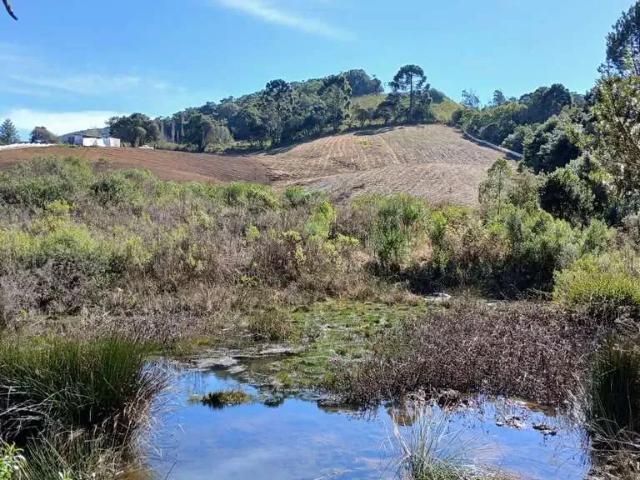 Sítio e chácara venda em Região Geográfica Imediata de Divinópolis, Itaúna
