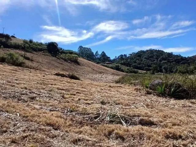 Sítio e chácara venda em Região Geográfica Imediata de Divinópolis, Itaúna