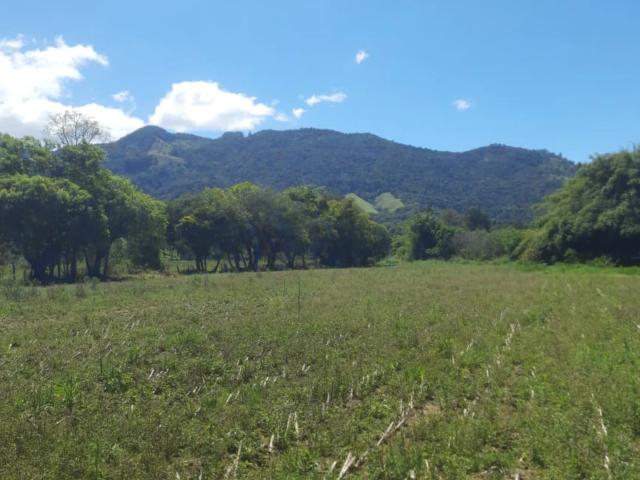 Sítio e chácara venda em Gonçalves