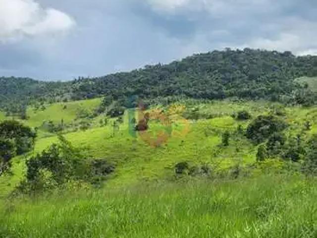 Sítio e chácara venda em Gongogi, Região Nordeste