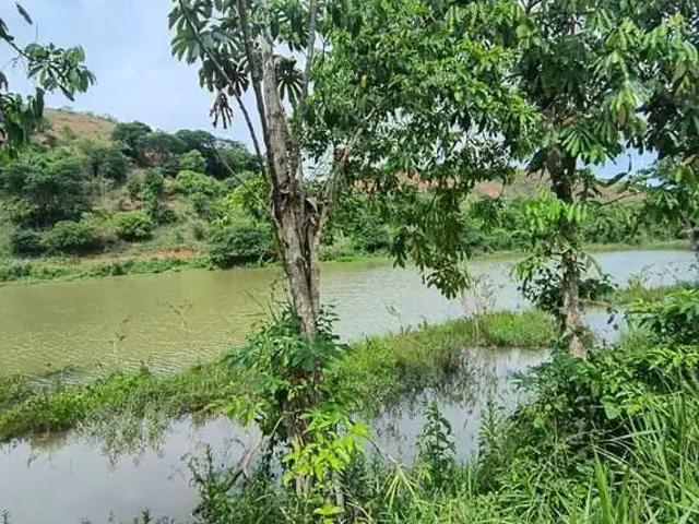 Sítio e chácara venda em Região Geográfica Imediata de Governador Valadares, Governador Valadares