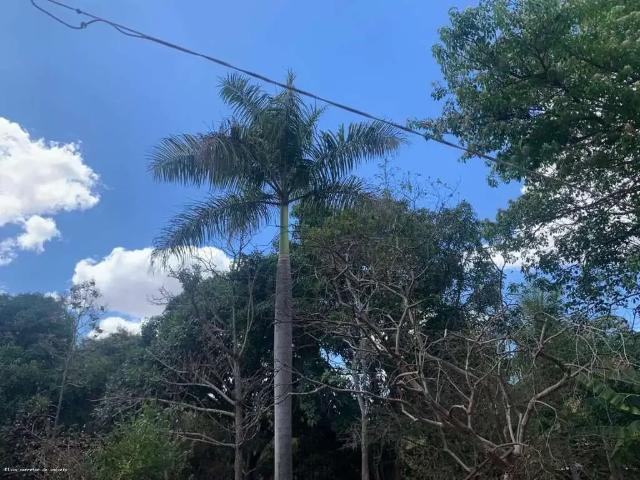 Sítio e chácara venda em Região Geográfica Imediata de Governador Valadares, Governador Valadares