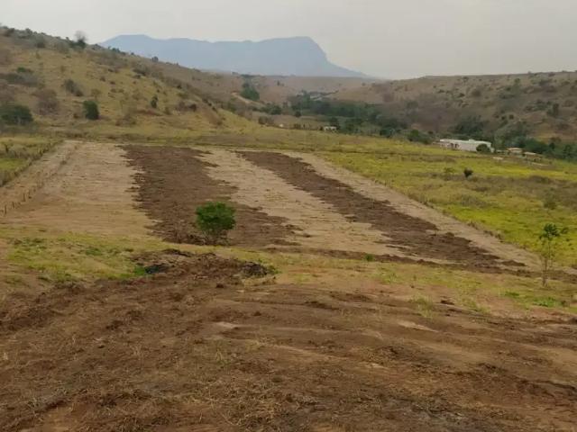 Sítio e chácara venda em Região Geográfica Imediata de Governador Valadares, Governador Valadares