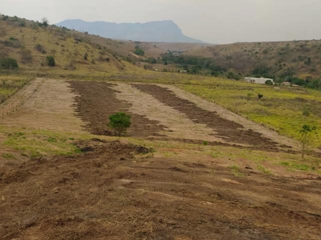 Sítio e chácara venda em Governador Valadares, Região Geográfica Intermediária de Governador Valadares