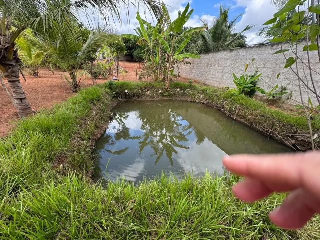 Sítio e chácara venda em Região Geográfica Imediata de Governador Valadares, Governador Valadares