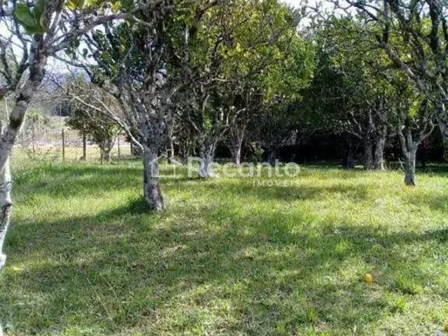 Sítio e chácara venda em Região Geográfica Imediata de Santa Cruz do Sul, Santa Cruz do Sul