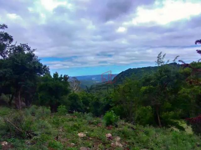 Sítio e chácara venda em Gramado