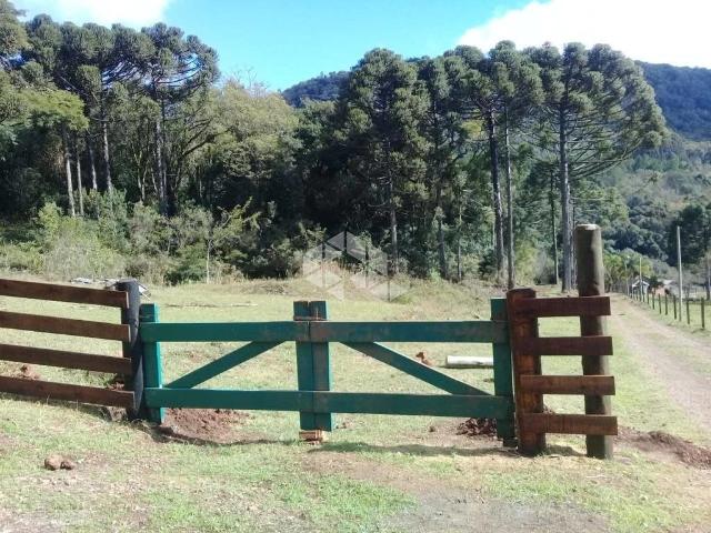 Sítio e chácara venda em Gramado
