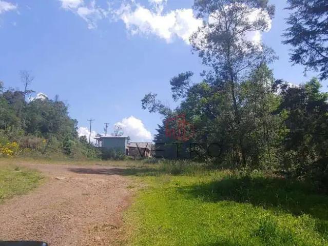 Sítio e chácara venda em Região Geográfica Imediata de Caxias do Sul, Gramado