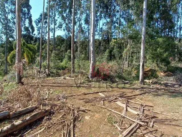 Sítio e chácara venda em Região Geográfica Imediata de Caxias do Sul, Gramado