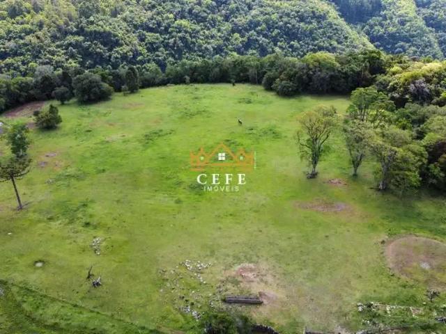 Sítio e chácara venda em Região Geográfica Imediata de Caxias do Sul, Gramado