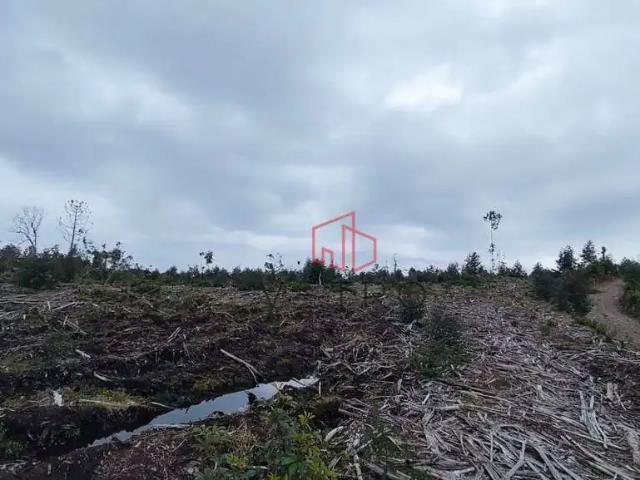 Sítio e chácara venda em Região Geográfica Imediata de Caxias do Sul, Gramado