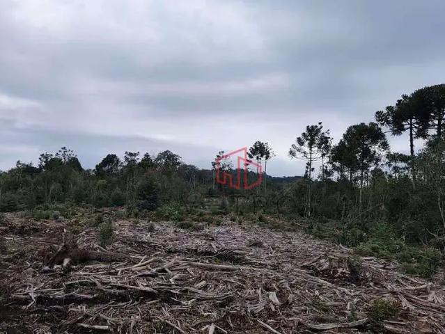 Sítio e chácara venda em Região Geográfica Imediata de Caxias do Sul, Gramado