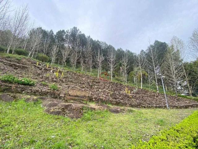 Sítio e chácara venda em Região Geográfica Imediata de Caxias do Sul, Gramado