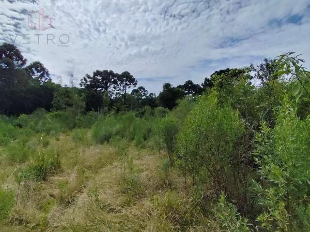 Sítio e chácara venda em Região Geográfica Imediata de Caxias do Sul, Gramado