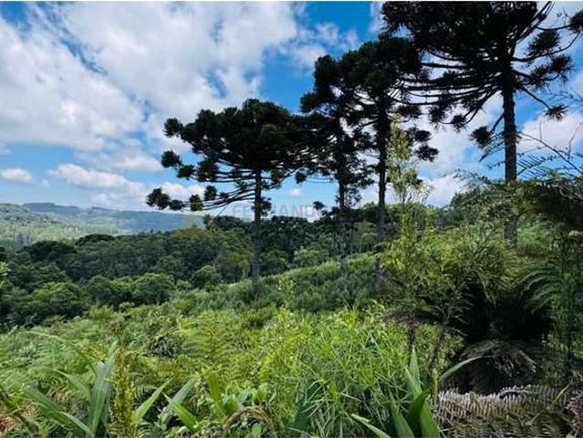 Sítio e chácara venda em Região Geográfica Imediata de Caxias do Sul, Gramado