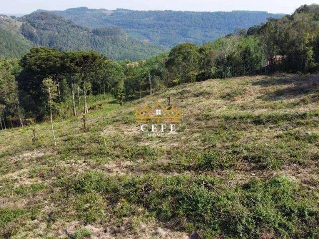 Sítio e chácara venda em Região Geográfica Imediata de Caxias do Sul, Gramado