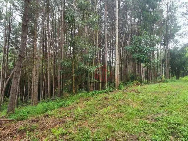 Sítio e chácara venda em Região Geográfica Imediata de Caxias do Sul, Gramado