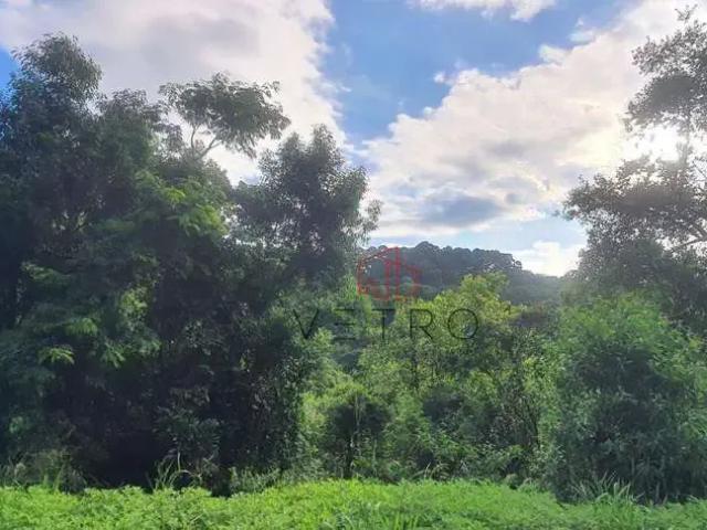 Sítio e chácara venda em Gramado