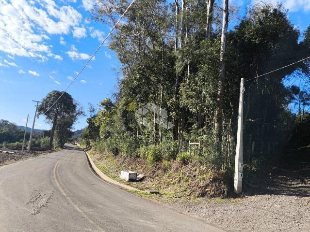 Sítio e chácara venda em Gramado