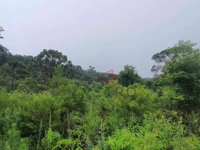 Sítio e chácara venda em Região Geográfica Imediata de Caxias do Sul, Gramado