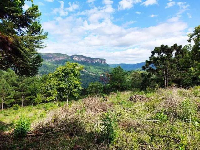 Sítio e chácara venda em Região Geográfica Imediata de Caxias do Sul, Gramado