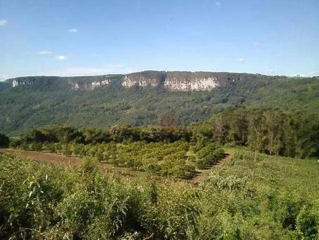 Sítio e chácara venda em Região Geográfica Imediata de Caxias do Sul, Gramado