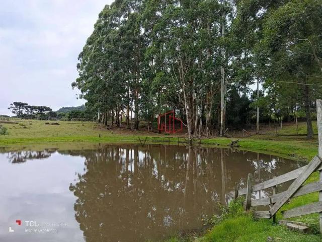 Sítio e chácara venda em Região Geográfica Imediata de Caxias do Sul, Gramado