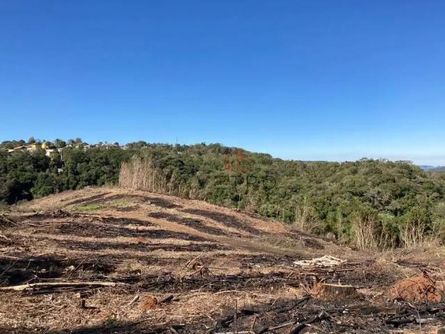 Sítio e chácara venda em Região Geográfica Imediata de Caxias do Sul, Gramado
