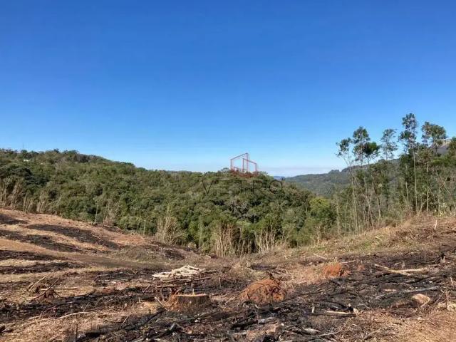 Sítio e chácara venda em Região Geográfica Imediata de Caxias do Sul, Gramado