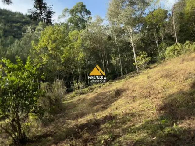 Sítio e chácara venda em Região Geográfica Imediata de Caxias do Sul, Gramado
