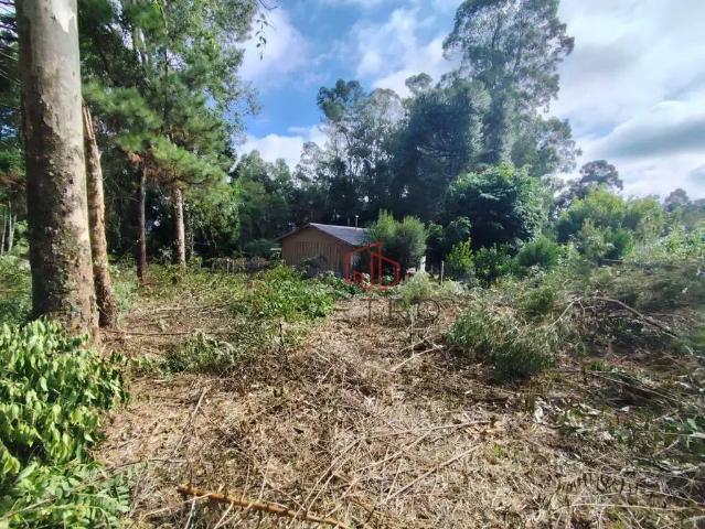 Sítio e chácara venda em Região Geográfica Imediata de Soledade, Fontoura Xavier