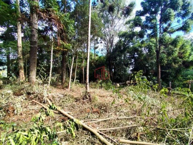 Sítio e chácara venda em Região Geográfica Imediata de Soledade, Fontoura Xavier