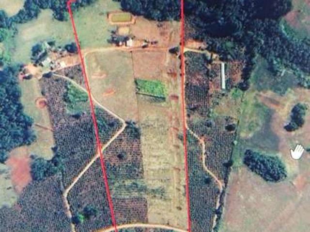 Sítio e chácara venda em Grandes Rios, Região Geográfica Intermediária de Londrina