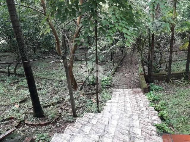 Sítio e chácara venda em Região Geográfica Imediata de Porto Alegre, Região Metropolitana de Porto Alegre