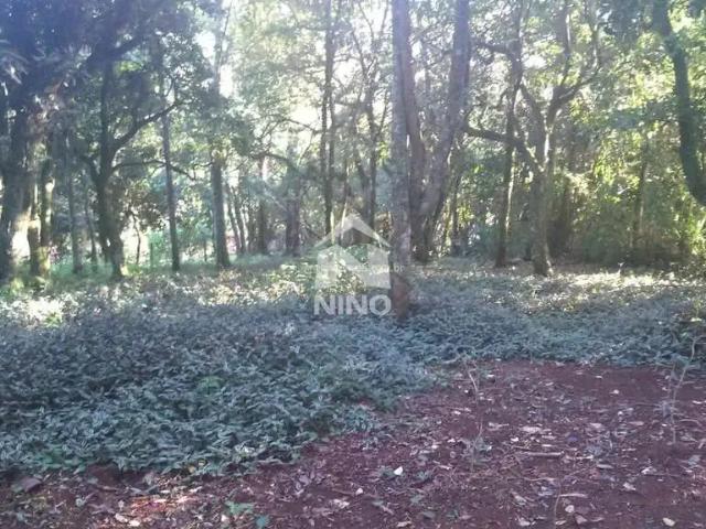 Sítio e chácara venda em Região Geográfica Imediata de Porto Alegre, Região Metropolitana de Porto Alegre