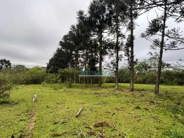 Sítio e chácara venda em Região Geográfica Imediata de Porto Alegre, Região Metropolitana de Porto Alegre