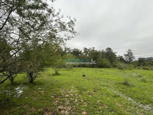 Sítio e chácara venda em Região Geográfica Imediata de Porto Alegre, Região Metropolitana de Porto Alegre