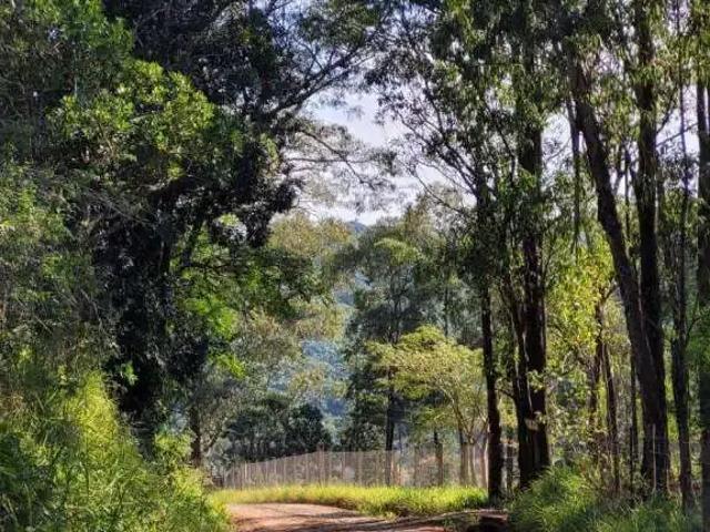 Sítio e chácara venda em Região Geográfica Imediata de Porto Alegre, Região Metropolitana de Porto Alegre