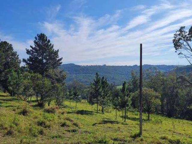 Sítio e chácara venda em Sertanejo, Gravataí