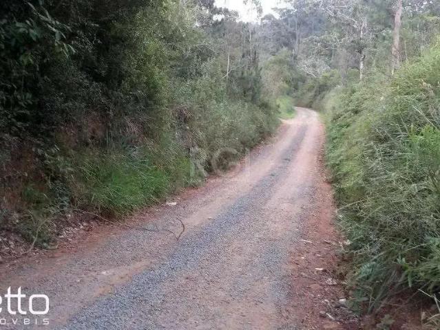 Sítio e chácara venda em Região Geográfica Imediata de Porto Alegre, Região Metropolitana de Porto Alegre