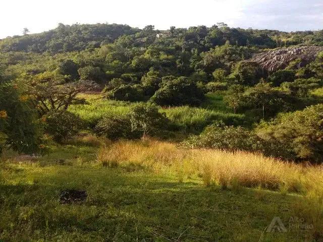Sítio e chácara venda em Região Geográfica Imediata de Caruaru, Gravata