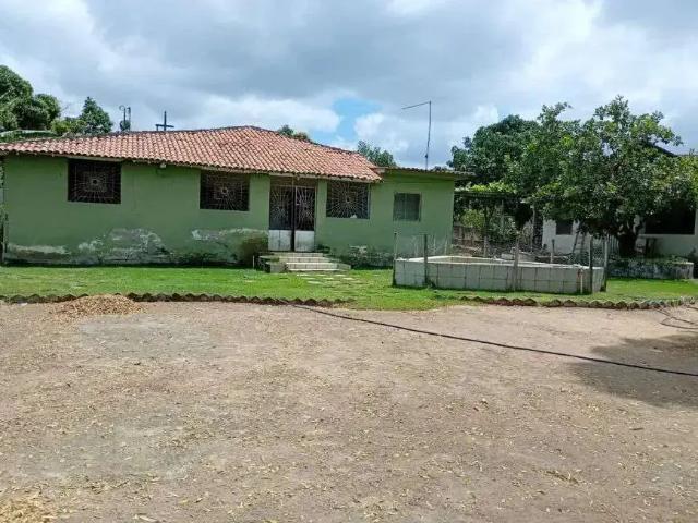 Sítio e chácara venda em Região Geográfica Imediata de Caruaru, Gravata
