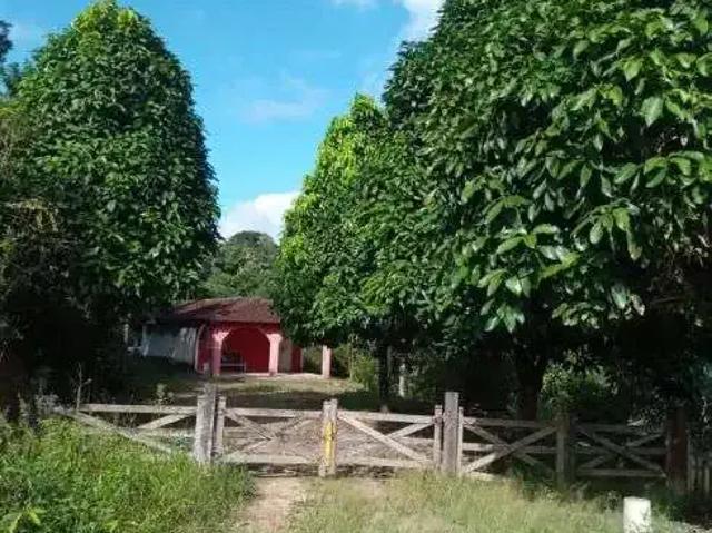 Sítio e chácara venda em Região Geográfica Imediata de Caruaru, Gravata